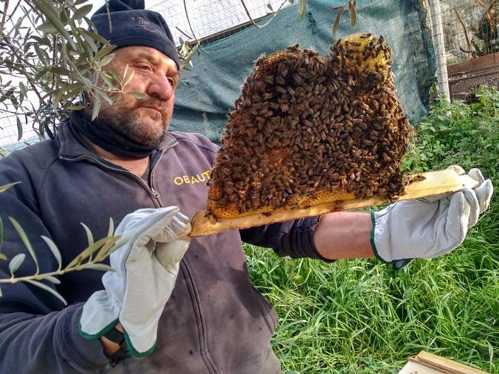 مبيت وإفطار كوميزو Il Filo Di Paglia المظهر الخارجي الصورة